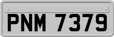 PNM7379
