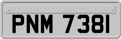 PNM7381