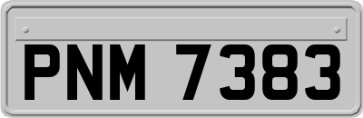 PNM7383