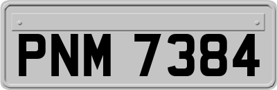 PNM7384