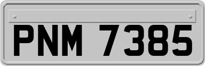 PNM7385