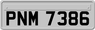 PNM7386
