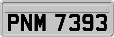 PNM7393