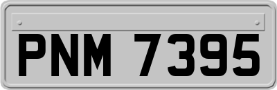 PNM7395