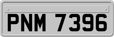 PNM7396