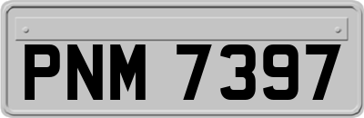 PNM7397