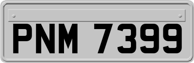 PNM7399