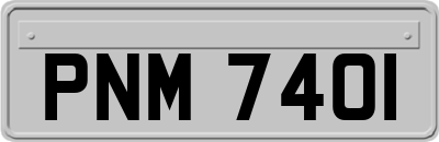 PNM7401