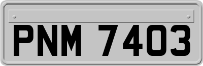 PNM7403