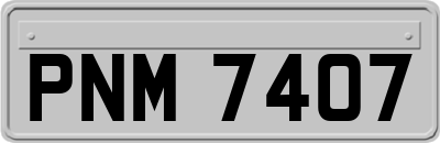PNM7407