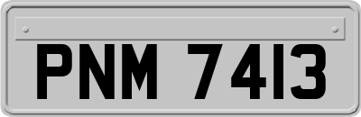 PNM7413