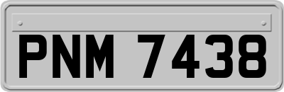 PNM7438