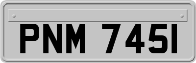 PNM7451
