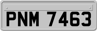 PNM7463