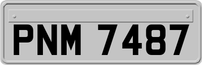 PNM7487