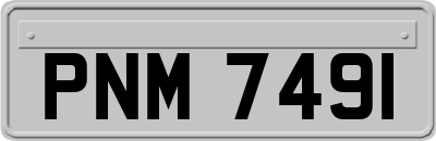 PNM7491