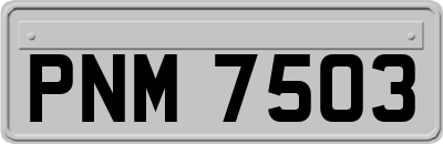 PNM7503