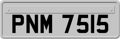 PNM7515