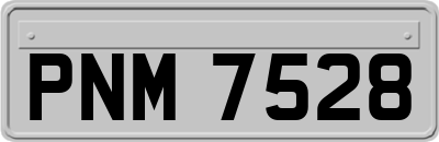PNM7528