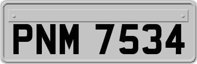 PNM7534
