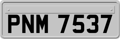 PNM7537