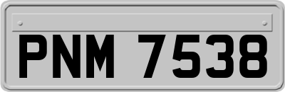 PNM7538