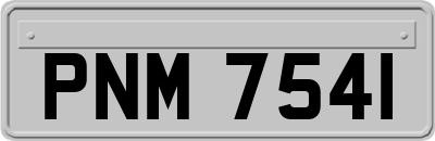 PNM7541
