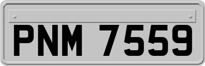 PNM7559