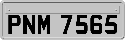 PNM7565