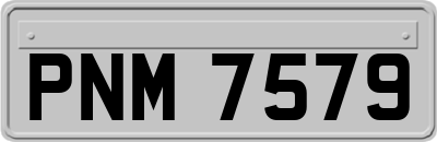 PNM7579
