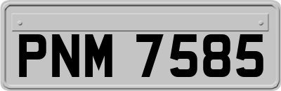 PNM7585