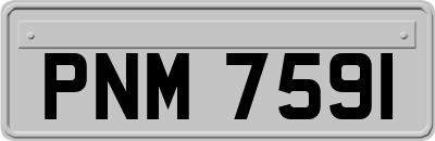 PNM7591