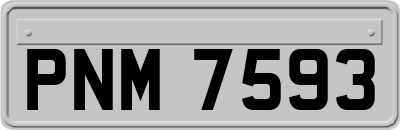 PNM7593