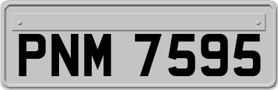PNM7595