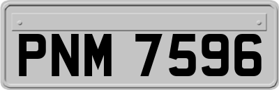PNM7596