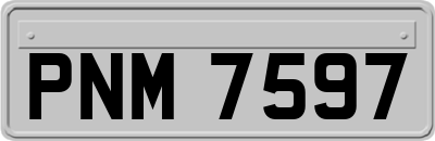 PNM7597