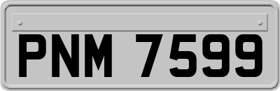 PNM7599
