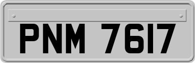 PNM7617