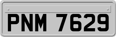 PNM7629