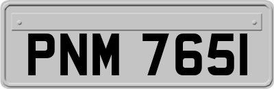 PNM7651
