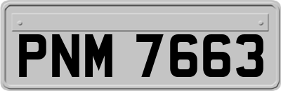 PNM7663