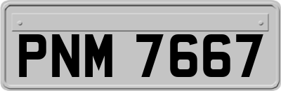 PNM7667