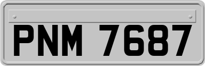 PNM7687