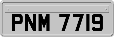 PNM7719