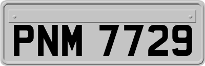 PNM7729