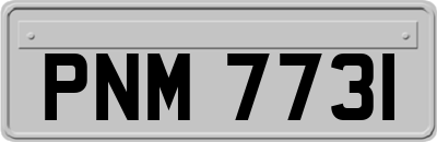 PNM7731