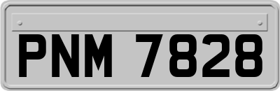 PNM7828