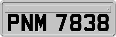 PNM7838