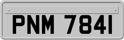 PNM7841