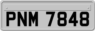 PNM7848